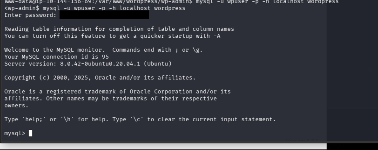 Successful MySQL login with the echoed database password redacted
